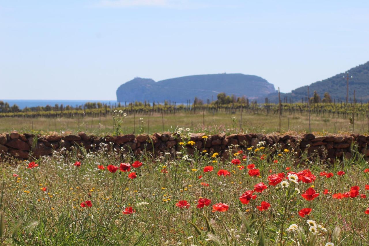 Agriturismo Graziano E Barbara Porto Conte Luaran gambar